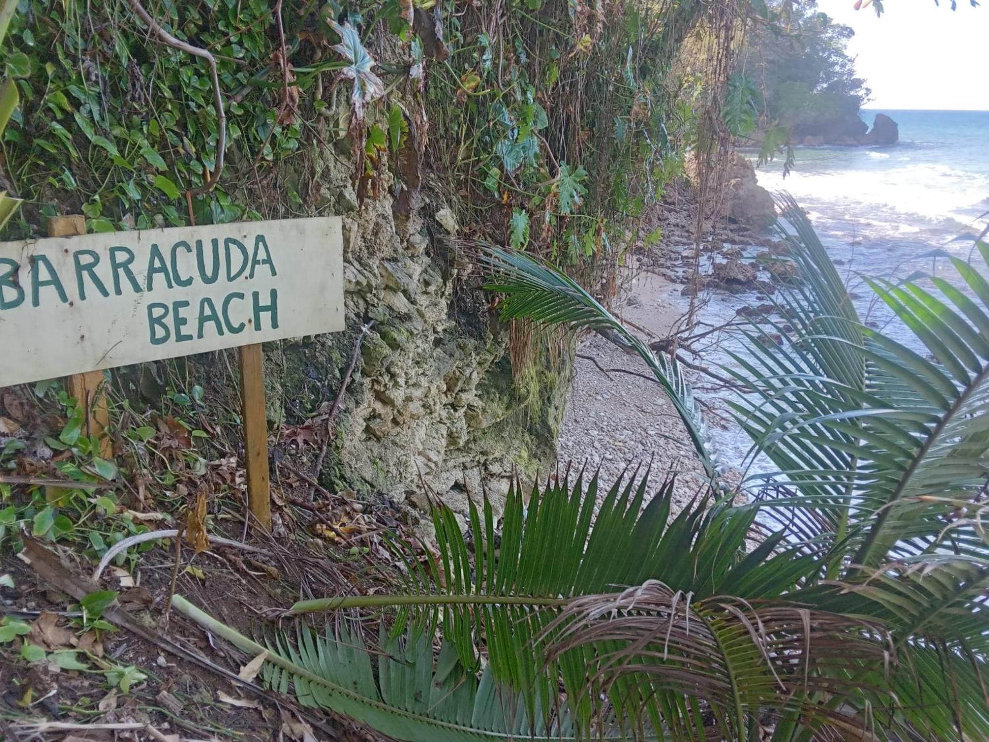 安东尼奥港 Barracuda Beach酒店 外观 照片