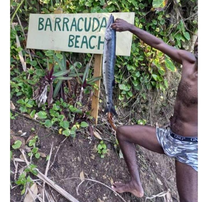 安东尼奥港 Barracuda Beach酒店 外观 照片